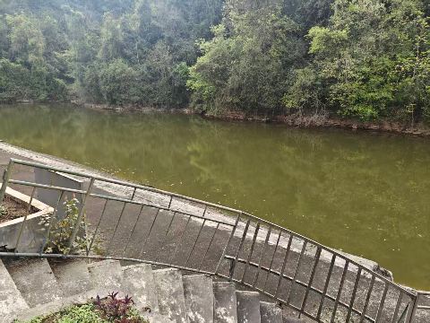 大邑烟霞湖钓鱼