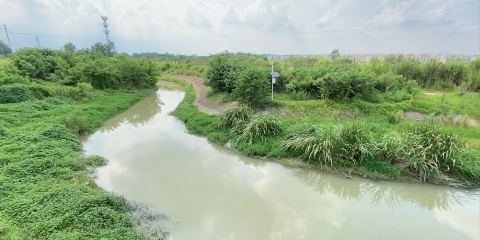 西江河免费野河