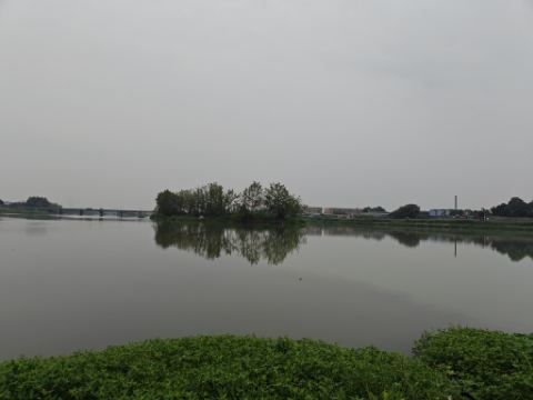 白鲢基地