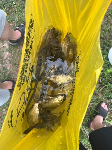 鹿溪河鲫鱼钓点