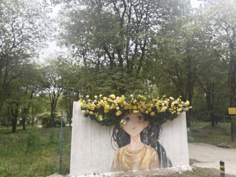 金星地铁站黄枫园