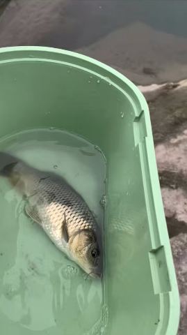 大邑县新场镇李家湾钓点
